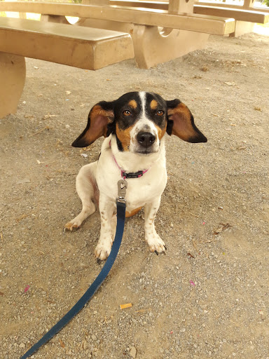 Park «Anderson River Park», reviews and photos