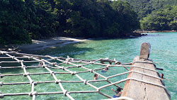 Foto de Whale Beach ubicado en área natural