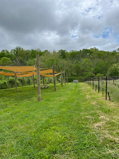 Winery «Rocklands Farm», reviews and photos, 14525 Montevideo Rd, Poolesville, MD 20837, USA