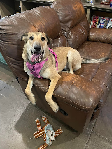 Vaporizer Store «Burnin Earth Smoke Shop», reviews and photos, 103 W Foothill Blvd, Monrovia, CA 91016, USA