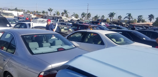 Brownfield Auto Auction