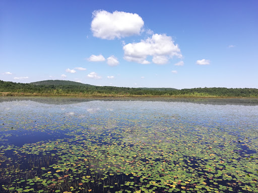 State Park «Ponkapoag Golf Course», reviews and photos, 2167 Washington St, Canton, MA 02021, USA