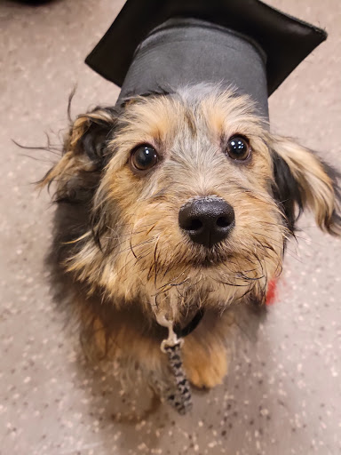 Pet Supply Store «PetSmart», reviews and photos, 2534 South Rd, Poughkeepsie, NY 12601, USA