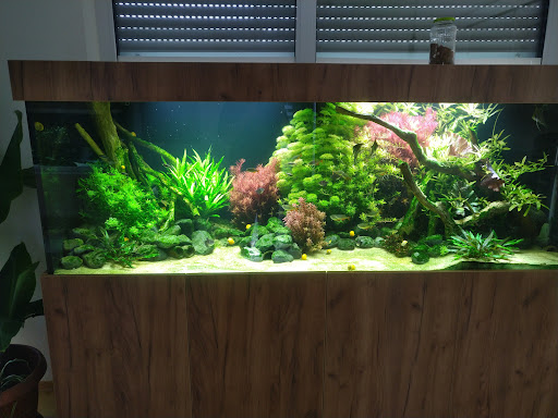 Tropical Heimtierbedarf Deutschland GmbH unter Ruhmannsfelden, 