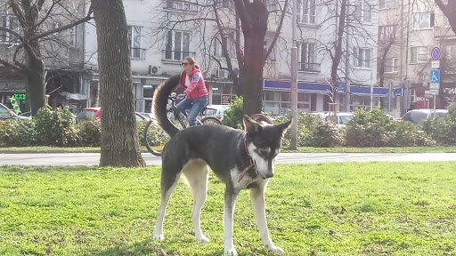 паркове отиват с кучета София