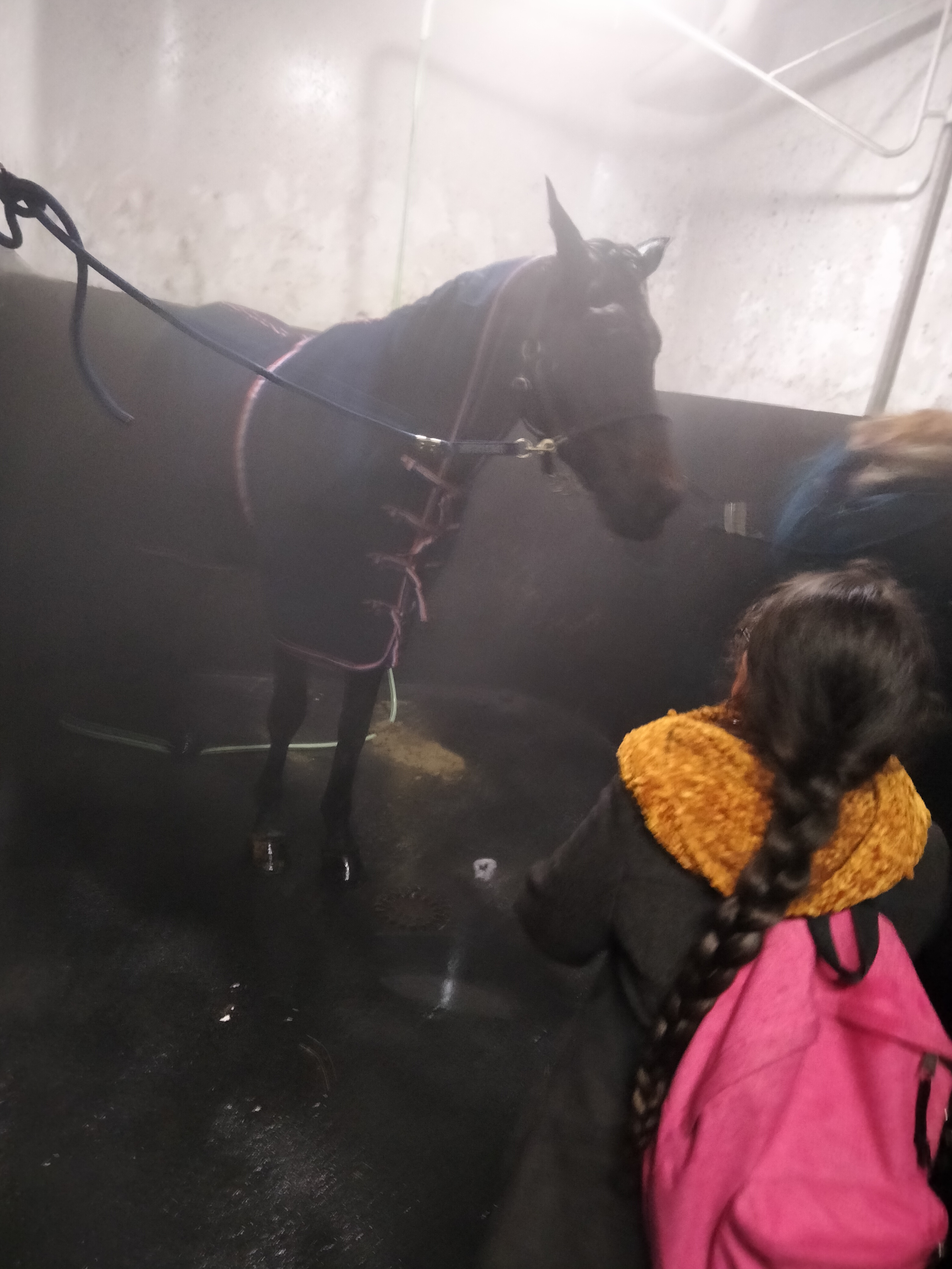 Photo n° 16 de l'avis de Rabeb.h fait le 16/12/2021 à 16:50