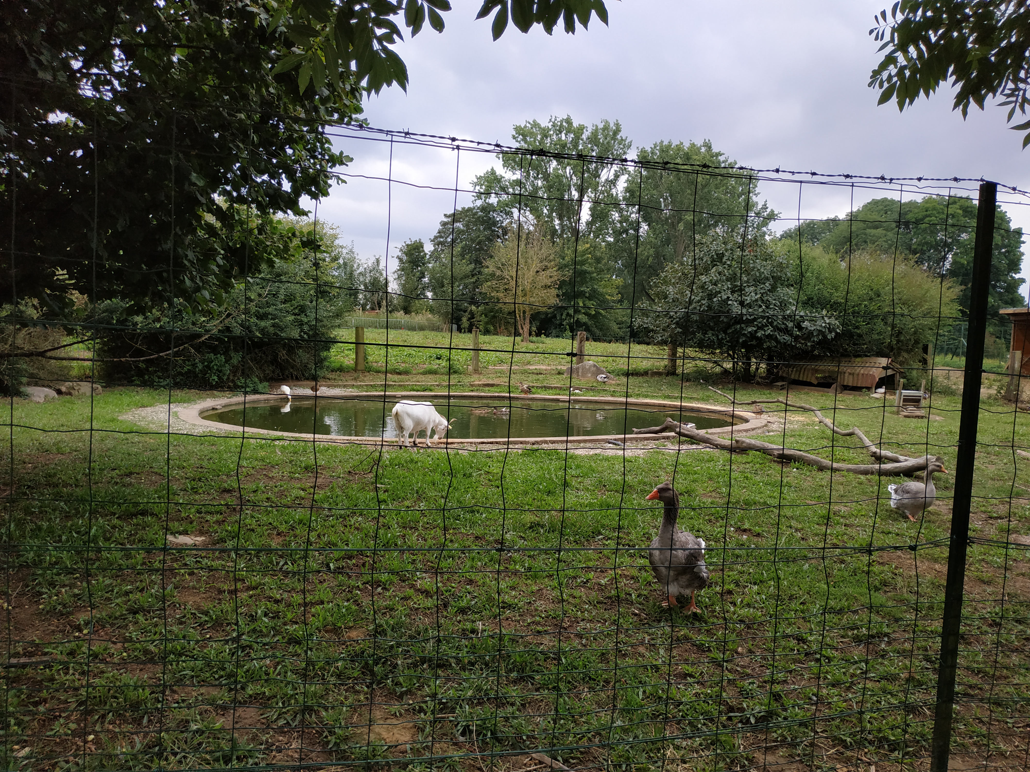 Photo n° 1 de l'avis de Evelyne.e fait le 06/08/2019 à 16:50