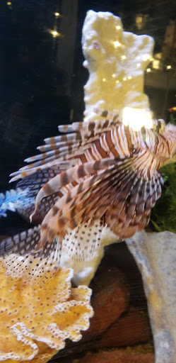 Casino «Silver Dollar Renton», reviews and photos, 3100 E Valley Rd, Renton, WA 98055, USA