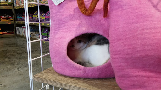 Pet Store «Next to Nature», reviews and photos, 4543 California Ave SW, Seattle, WA 98116, USA