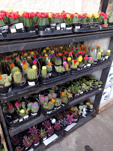 Home Improvement Store «The Home Depot», reviews and photos, 14000 Georgia Avenue, Aspen Hill, MD 20906, USA