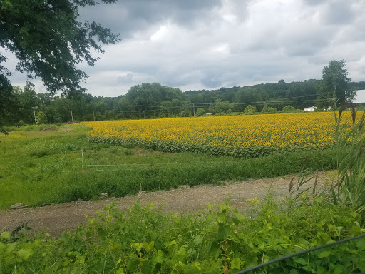 Drive-in Movie Theater «Overlook Drive-In Theatre», reviews and photos, 126 De Garmo Rd, Poughkeepsie, NY 12601, USA