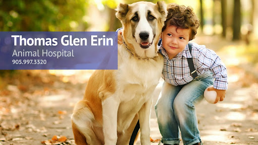 Thomas Glen Erin Animal Hospital