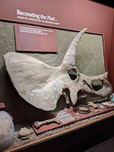 Imax Theater «The National Geographic Dome Theater & Daniel M. Soref Planetarium», reviews and photos, 800 W Wells St, Milwaukee, WI 53233, USA