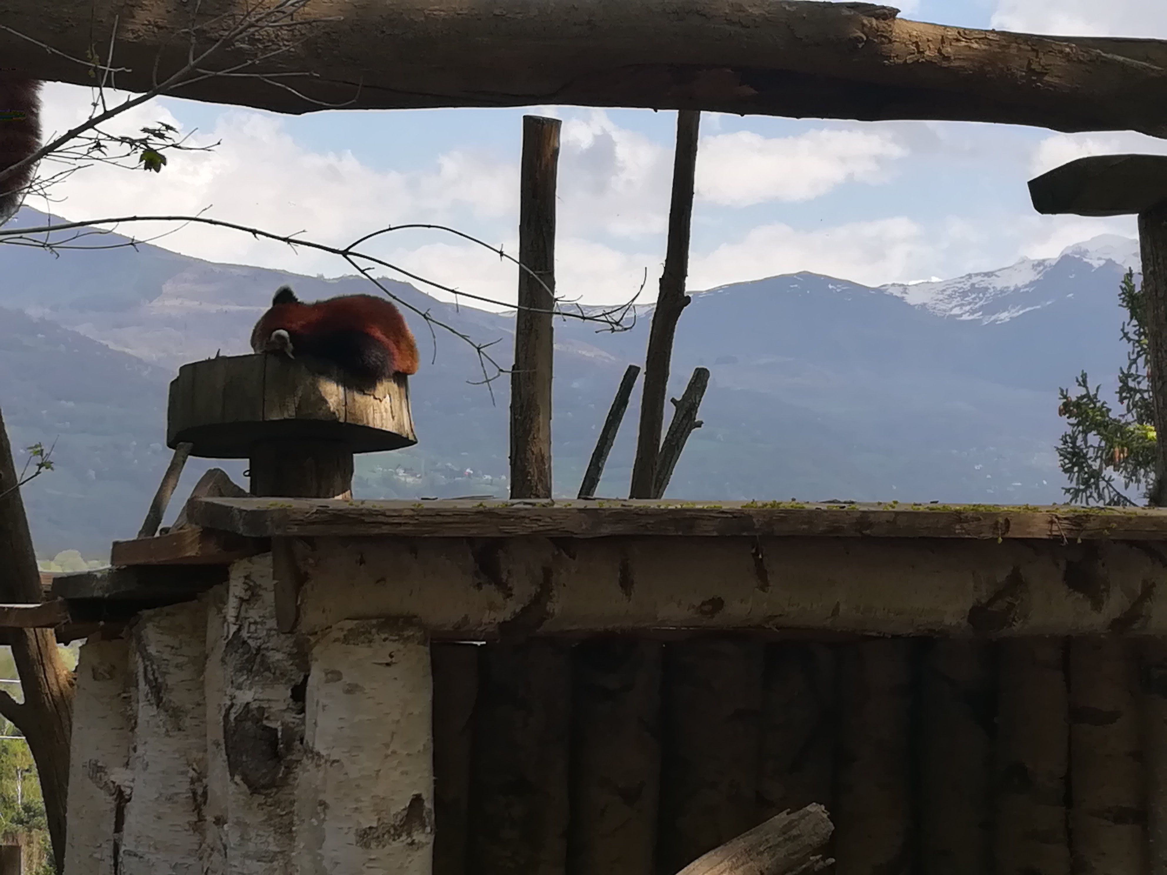 Photo n° 24 de l'avis de Sarah.L fait le 21/04/2018 à 18:44