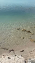 Photo n°30 de Alsasurf67 à Lauterbourg ()