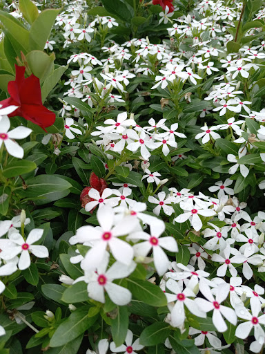 Department Store «Walmart Supercenter», reviews and photos, 5401 Fairington Rd, Lithonia, GA 30038, USA