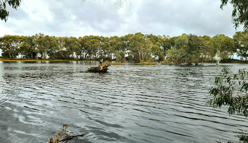 Whites Road Wetland