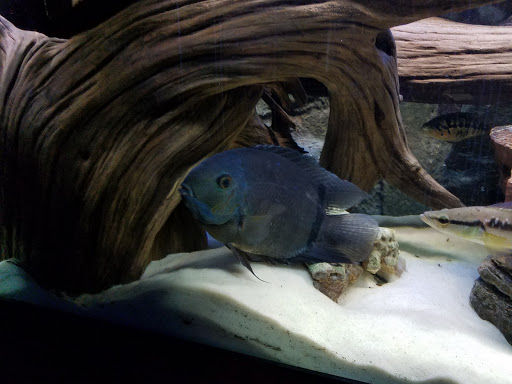 Tropical Fish Store «America Aquaria», reviews and photos, 3485 N 124th St, Brookfield, WI 53005, USA