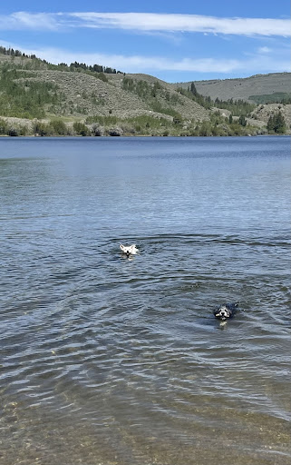 Western Veterinary Service