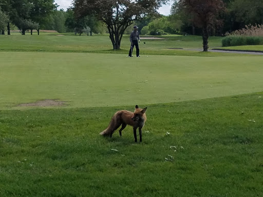 Golf Course «Overpeck Golf Course», reviews and photos, 273 E Cedar Ln, Teaneck, NJ 07666, USA