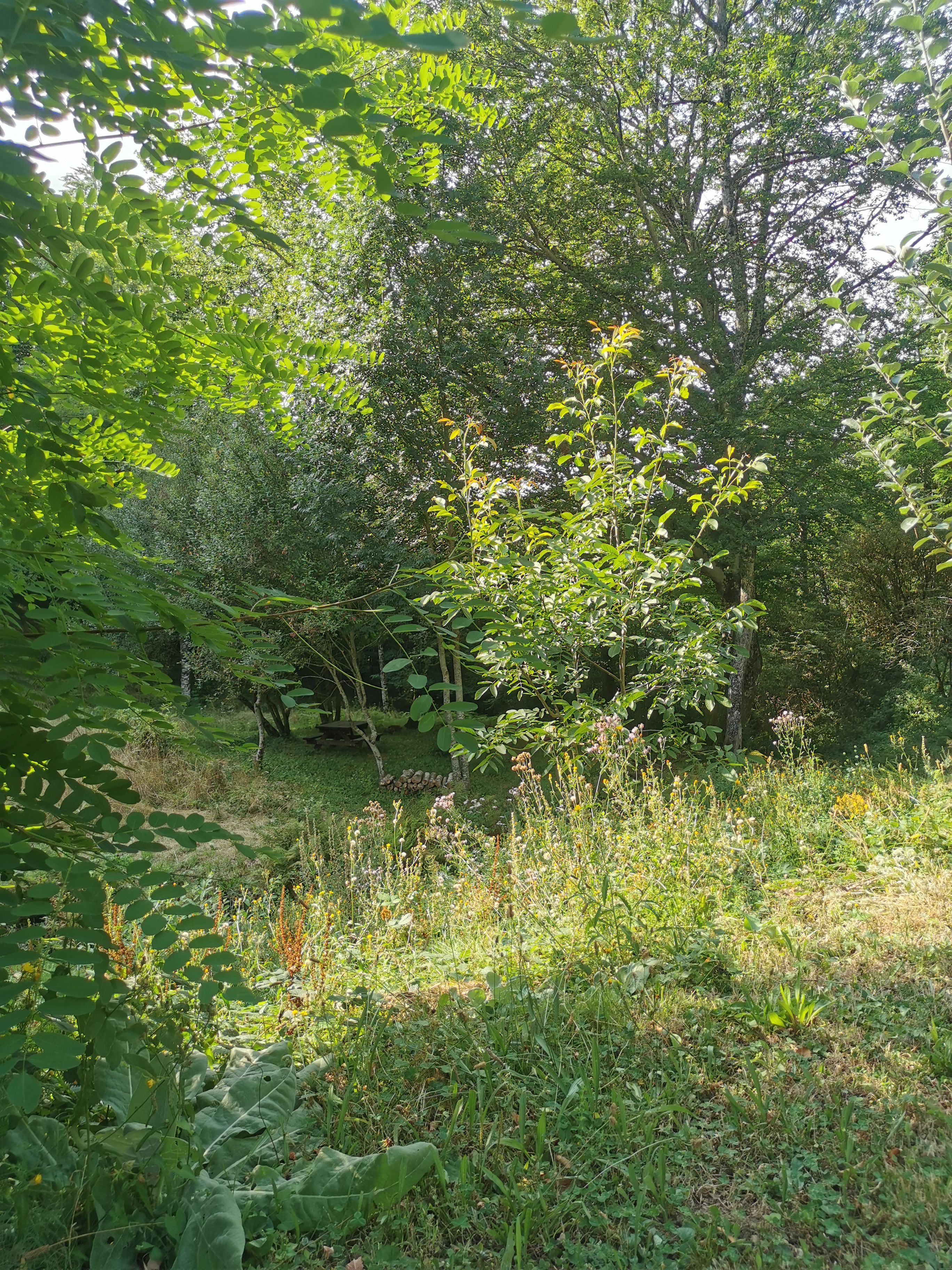 Photo n° 6 de l'avis de Axelle.h fait le 27/08/2023 à 12:59