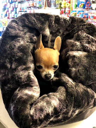 Pet Supply Store «Sonoma Pet and Aquatics», reviews and photos, 201 W Napa St #7, Sonoma, CA 95476, USA