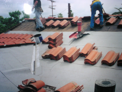 AllGreen Builders image