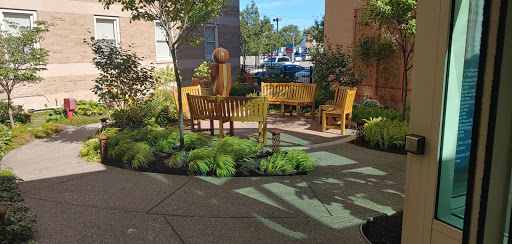 2950 Elmwood Ave, Buffalo, NY 14217, USA