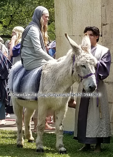 Zoo «A One of A Kind Pony Party», reviews and photos, 912 Bells Chapel Cir, Waxahachie, TX 75165, USA