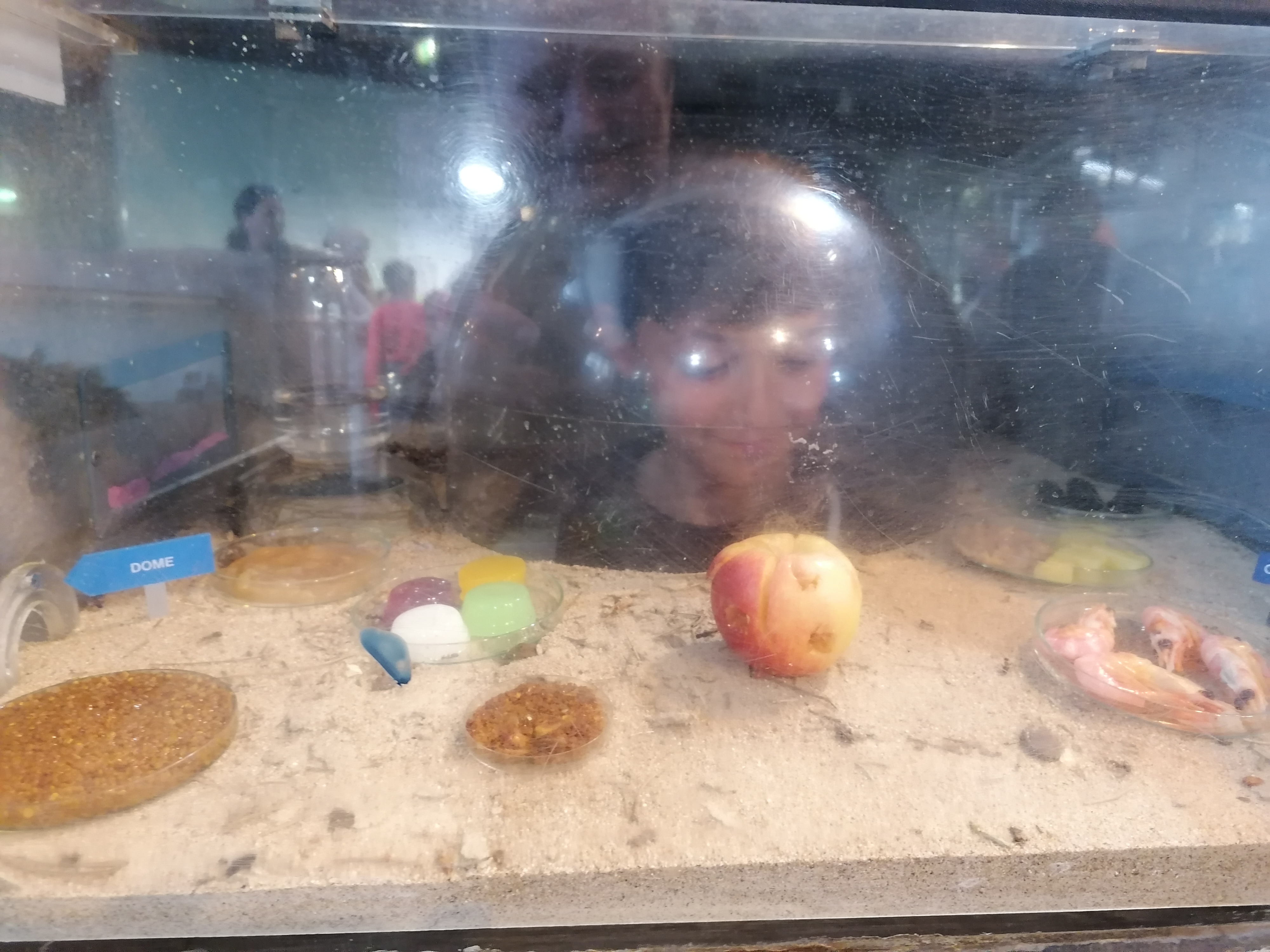 Photo n° 6 de l'avis de Sandrine.o fait le 07/05/2023 à 16:19