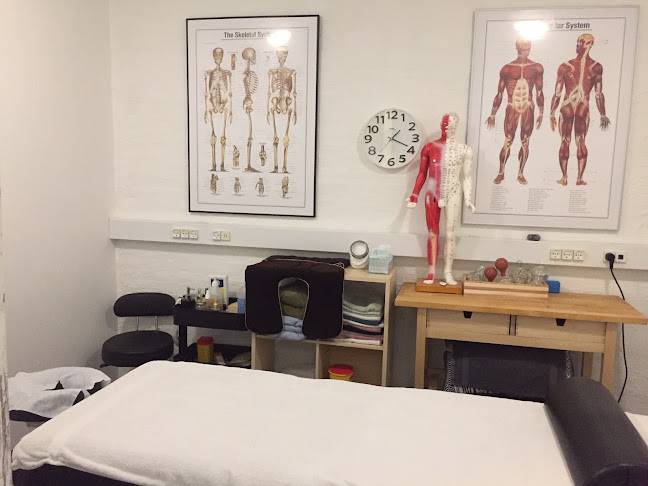 Anmeldelser af Helbreds Klinikken Akupunktur og Massage i Hedensted - Akupunkturklinik