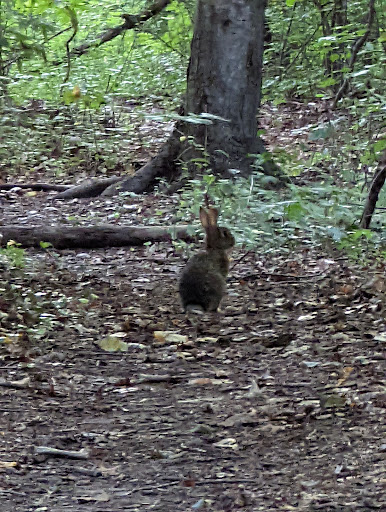 Nature Preserve «Welwyn Preserve», reviews and photos, 100 Crescent Beach Rd, Glen Cove, NY 11542, USA