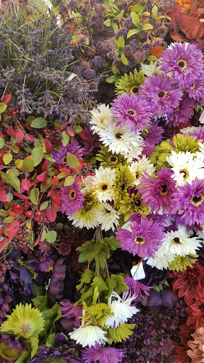 Fabric Store «Jo-Ann Fabrics and Crafts», reviews and photos, 220 N 66th St #270, Lincoln, NE 68505, USA