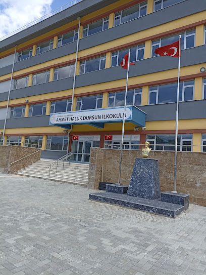 Ahmet Haluk Dursun İlkokulu