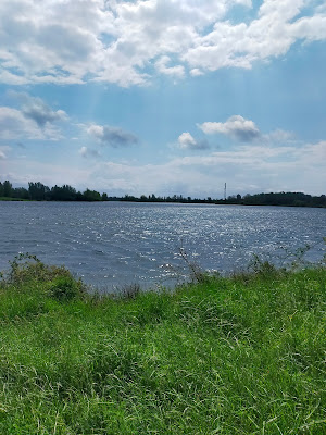 Zone Verte Naturelle Et De Loisirs De Bordeneuve à Frouzins