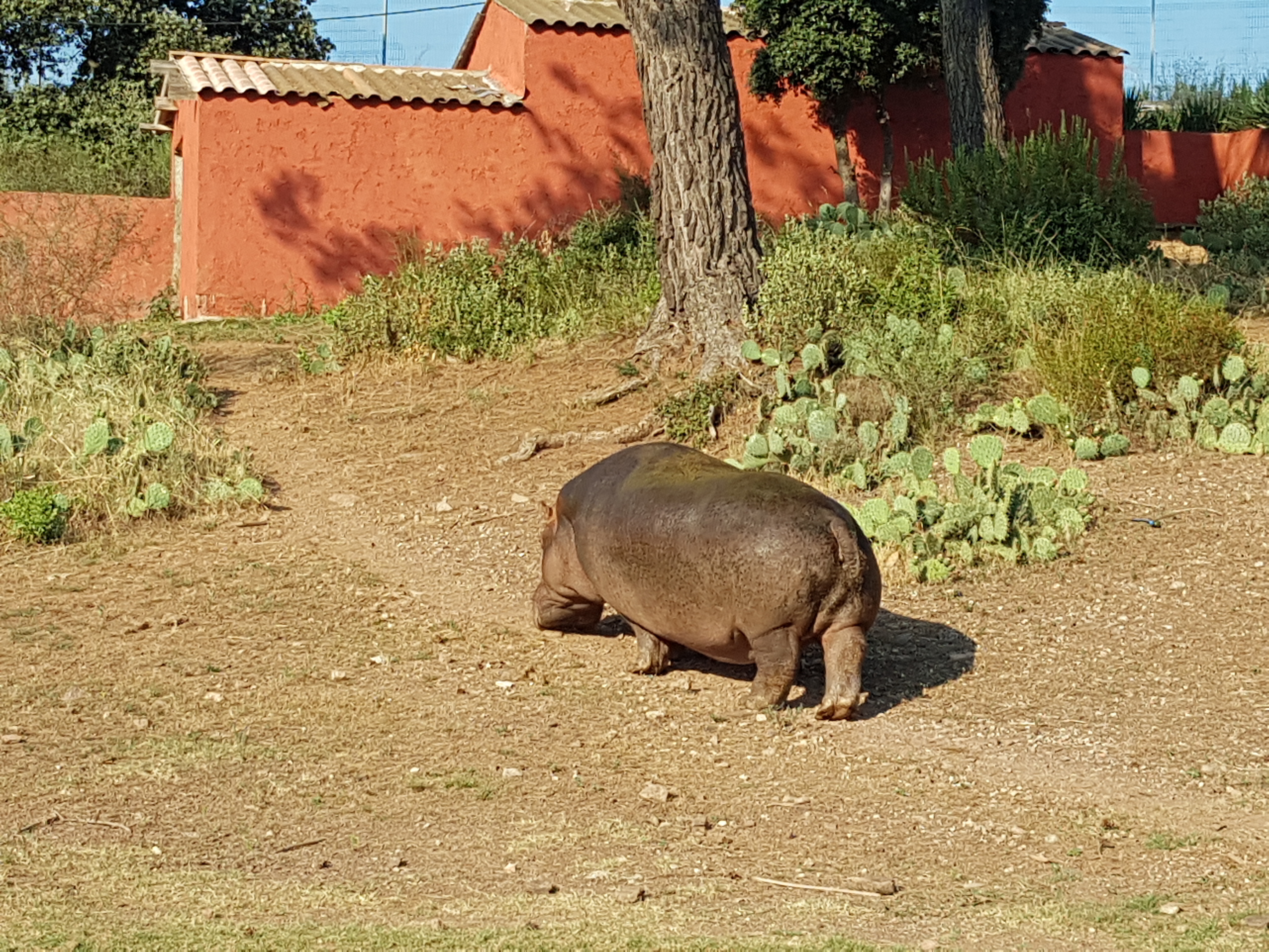 Photo n° 4 de l'avis de Cecile.e fait le 05/08/2018 à 03:14