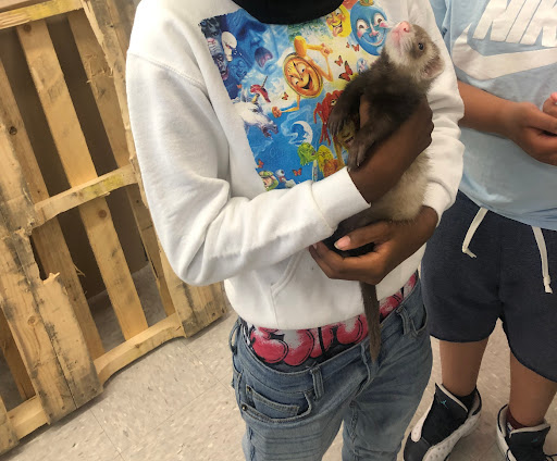 Pet Supply Store «Petco Animal Supplies», reviews and photos, 753 53rd Ave NE, Fridley, MN 55421, USA