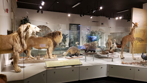 Science Museum «Buffalo Museum of Science», reviews and photos, 1020 Humboldt Pkwy, Buffalo, NY 14211, USA