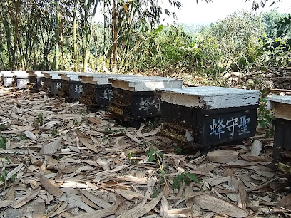 蜂守聖養蜂園