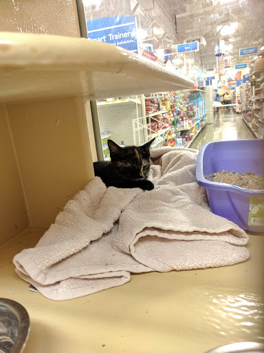 Pet Supply Store «PetSmart», reviews and photos, 2141 N Rose Ave, Oxnard, CA 93036, USA