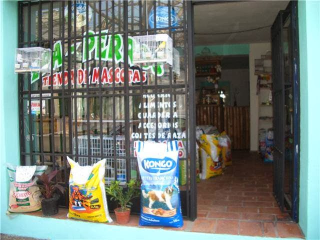Zpa Perros - Tienda de mascotas, criadero de caniches toys