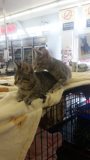 Pet Supply Store «Pet Food Express», reviews and photos, 3160 20th Ave, San Francisco, CA 94132, USA