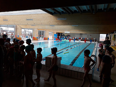 Piscine Caneton à Pessac
