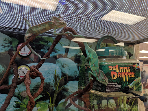 Pet Supply Store «Petco Animal Supplies», reviews and photos, 1919 El Camino Real, Mountain View, CA 94040, USA