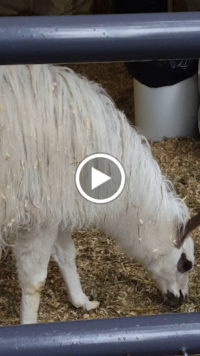 Place of Worship «The Grotto», reviews and photos, 8840 NE Skidmore St, Portland, OR 97220, USA