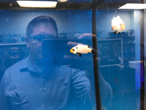 Aquarium «Aquarium Specialties & Research Center», reviews and photos, 235 Lancaster Ave, Malvern, PA 19355, USA