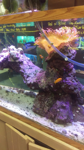 centerville aquarium