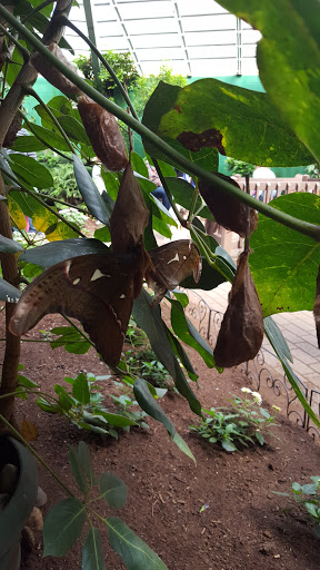 Garden «The Butterfly Place», reviews and photos, 120 Tyngsboro Rd, Westford, MA 01886, USA