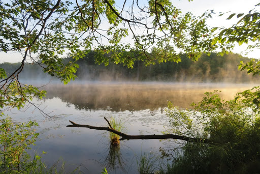 National Park «River Raisin National Battlefield Park Visitor Center», reviews and photos, 1403 E Elm Ave, Monroe, MI 48162, USA