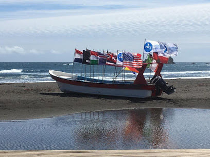 'Tiburon' Escuela de kitesurf iko
